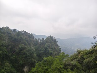 云雾缭绕的山林美景