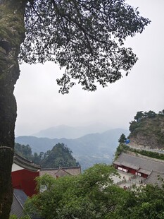 山间景致 树影