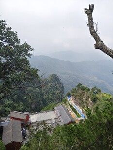 山间景致 孤枝伴远峰