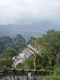 山间风光 葱郁林木
