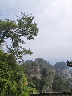 武当山奇峰绿树景观