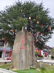 古树下的刻字石碑景观