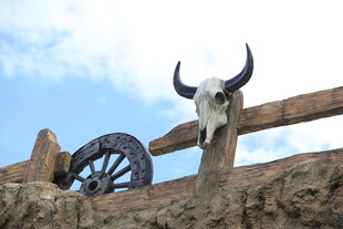 木栅栏上的牛头骨与车轮