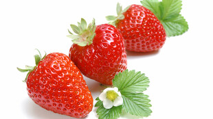 新鲜草莓配绿叶小白花