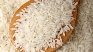 木勺上的优质白米