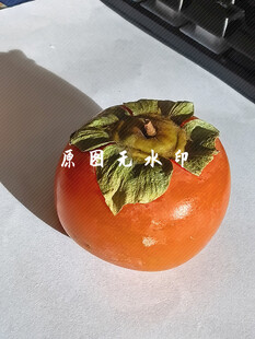 新鲜柿子 顶部带翠绿柿蒂