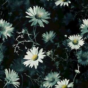 深色背景上的清新雏菊图案