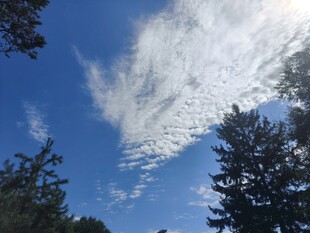 蓝天绿树间的云朵美景