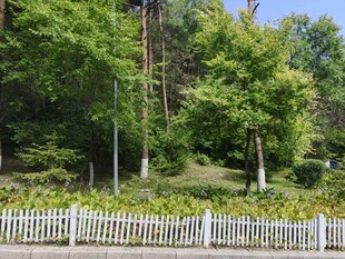 林间白色围栏与葱郁树木