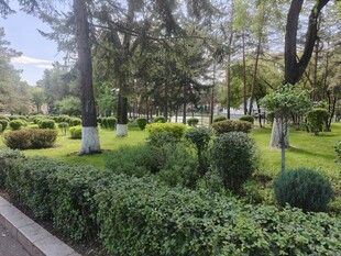 城市中的静谧花园景观