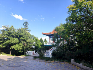 林间中式亭子风景