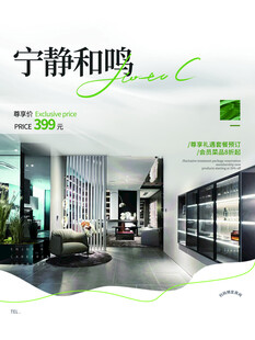 宁静和鸣的现代家居空间