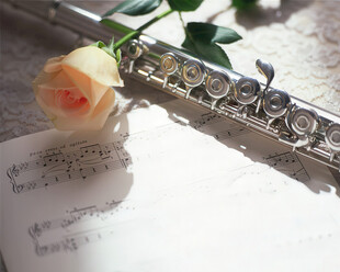 长笛 粉玫瑰 音乐