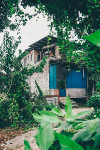 被绿植环绕的老旧房屋