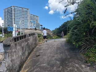 城市小道旁的现代建筑景观