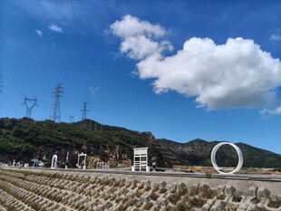 田园风光中的特色景观