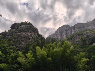 山峦竹林间的云雾景致
