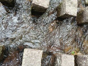 石块铺就的潺潺流水小径