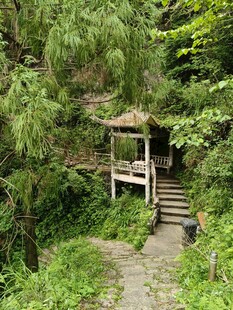 林间小径旁的古朴小凉亭