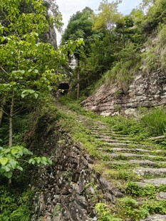 山间石阶绿意环绕的小径