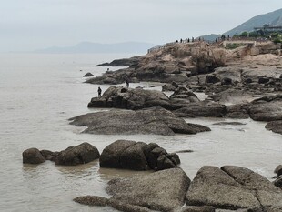 海边嶙峋礁石景致