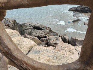 透过树枝看海边岩石