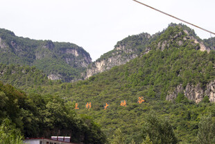 青山绿树