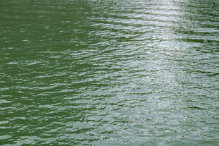 波光粼粼的绿色水面