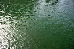 波光粼粼的翠绿水面