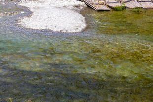 清澈溪流中的水底景象