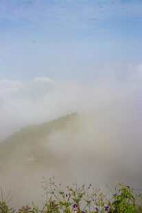 山间云雾缭绕的清新景致