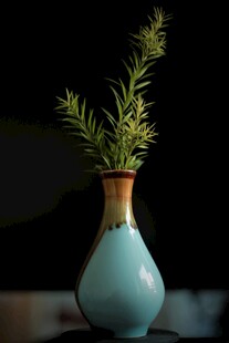 蓝瓶中插着翠绿植物