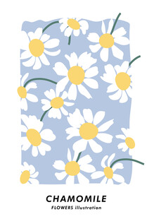 蓝色背景小雏菊图案