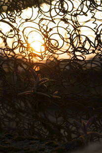 夕阳下的金属螺旋艺术景观