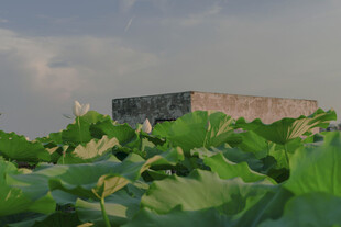 荷塘中的古朴建筑