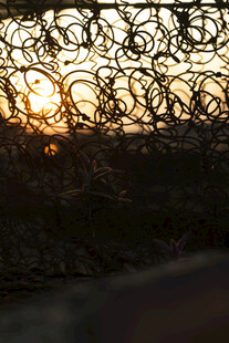 夕阳下的带刺铁丝网
