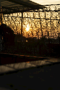 夕阳下的带刺铁丝网