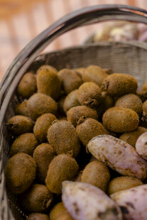 筐中饱满的褐色坚果