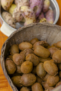 木盆中的新鲜猕猴桃