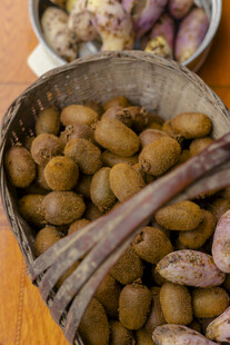 木篮中的猕猴桃