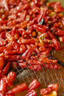 晾晒中的红辣椒