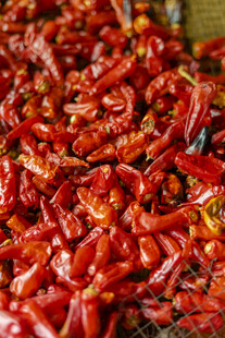 红辣椒特写