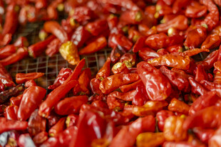 晾晒中的红辣椒