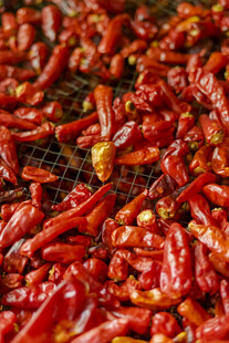 晾晒中的红辣椒