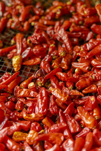 红辣椒特写