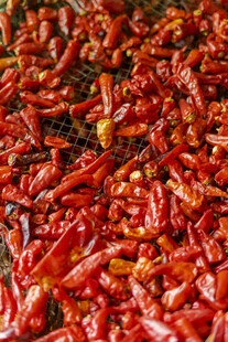 红辣椒特写