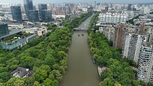 城市河畔绿意盎然景观