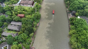 俯瞰河流与两岸绿植景观