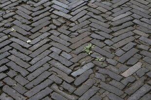 青砖铺就的古朴路面