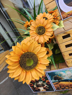 向日葵旁的多彩画作展示